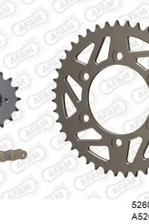 Koop Online AFAM - 520XMR3 100 MRS - Chain Kits - ALU