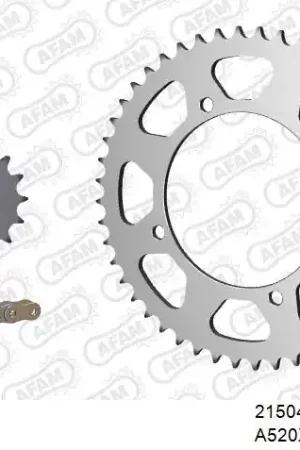 Laatste Versie AFAM - 520XRR3 110 ARS (CLIP) GOLD & SPROCKETS - STEEL