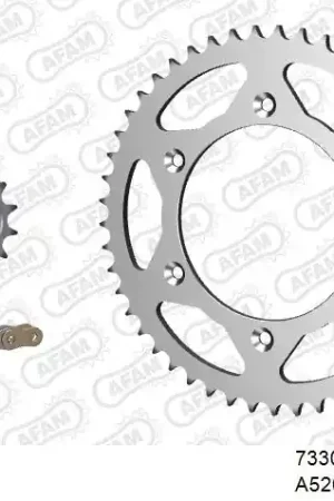 AFAM - 520XRR3 114 ARS (CLIP) GOLD & SPROCKETS - Chain Kits - STEEL Koop Vandaag