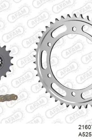 AFAM - 525XSR2 118 MRS (RIVET) GOLD & SPROCKETS - STEEL Goedkoop