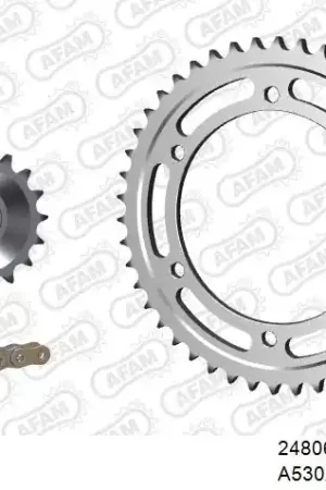 Exclusief AFAM - 530XSR2 110 MRS (RIVET) GOLD & SPROCKETS - STEEL