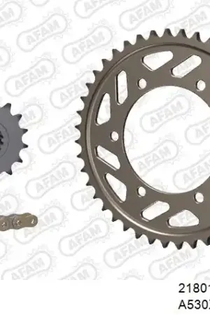 Tijdelijk Beschikbaar AFAM - 530XHR2 114 MRS (RIVET) GOLD & SPROCKETS - Chain Kits - ALU
