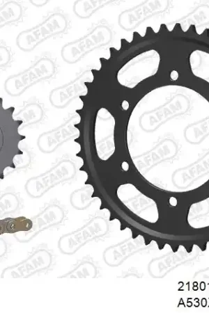 Weekendaanbieding AFAM - 530XHR2 116 MRS - Chain Kits - GOLD & SPROCKETS