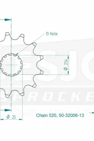 Goedkoop ESJOT - FRONT 13T, 520 - Sprockets - Hoogwaardige kwaliteit