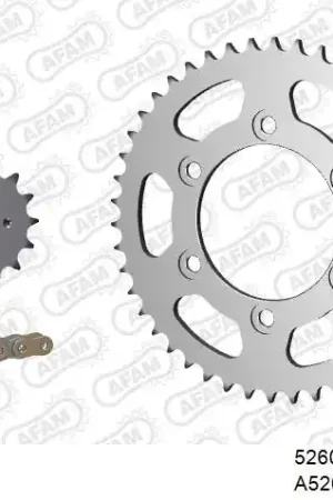 Geld-Terug-Garantie AFAM - 520XSR 108 MRS (RIVET) GOLD & SPROCKETS - Chain Kits - STEEL