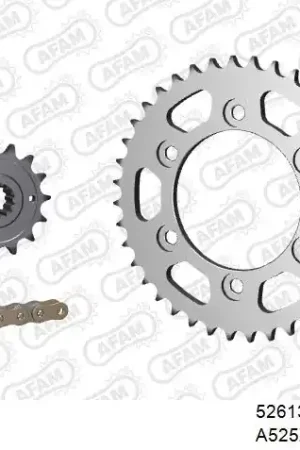 Express Levering AFAM - 525XSR2 100 MRS - Chain Kits - GOLD & SPROCKETS