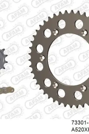 AFAM - 520XRR3 114 ARS (CLIP) GOLD & SPROCKETS - Chain Kits - ALU Hoge Kwaliteit