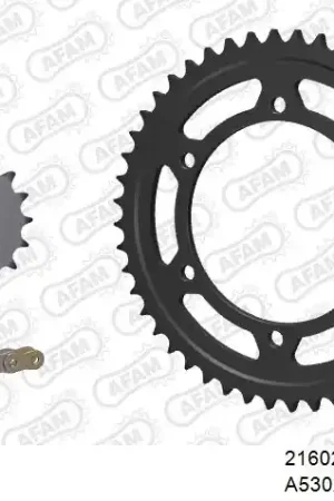 Gecertificeerd AFAM - 530XSR2 110 MRS (RIVET) GOLD & SPROCKETS - STEEL