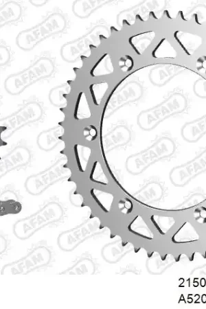 Fabrieksprijs AFAM - 520XRR3 112 ARS (CLIP) GOLD & SPROCKETS - ALU