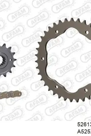Koop Vandaag AFAM - 525XHR3 102 MRS - Chain Kits - RIVET GOLD