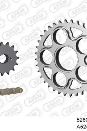 AFAM - 525XHR3 94 MRS - Chain Kits - Gold & Steel Ambachtelijk