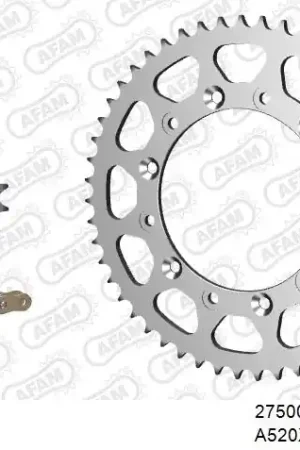 Bestel Nu AFAM - 520XRR3 114 ARS (CLIP) GOLD & SPROCKETS - STEEL