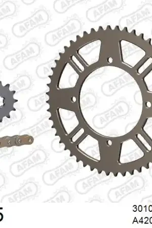 AFAM - 420MX2 124 AR - Chain Kits - GOLD & SPROCKETS Betaalbaar