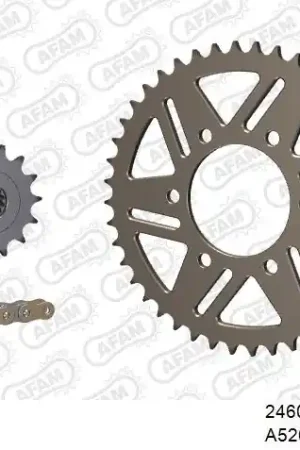 Shop Nu AFAM - 520XSR 112 MRS (RIVET) GOLD & SPROCKETS - Chain Kits - ALU