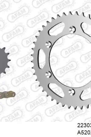 AFAM - 520XRR3 112 ARS (CLIP) GOLD & SPROCKETS - STEEL Superprijs