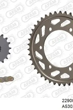 Garantie Inbegrepen AFAM - 530XHR2 114 MRS - Chain Kits - Goud & Sprockets