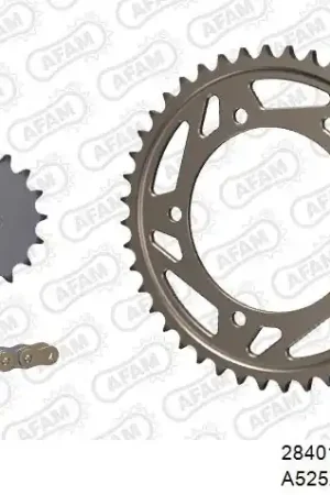 Nieuw AFAM - 525XSR2 110 MRS (RIVET) GOLD & SPROCKETS - Chain Kits - ALU