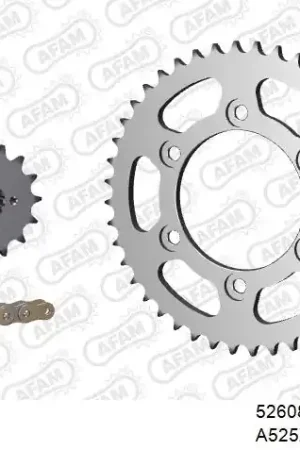 Wereldwijde Verzending AFAM - 525XSR2 102 MRS (RIVET) GOLD & SPROCKETS - Chain Kits - STEEL