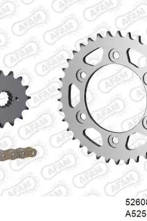 AFAM - 525XSR2 100 MRS - Chain Kits - Gold & Sprockets Weekendaanbieding
