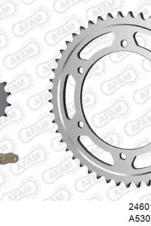 Nieuw AFAM - 530XSR2 116 MRS - Chain Kits - GOLD & SPROCKETS