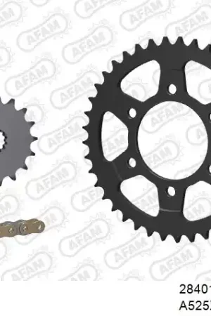 AFAM - 525XHR3 108 MRS (RIVET) GOLD & SPROCKETS - STEEL Nieuwe Collectie
