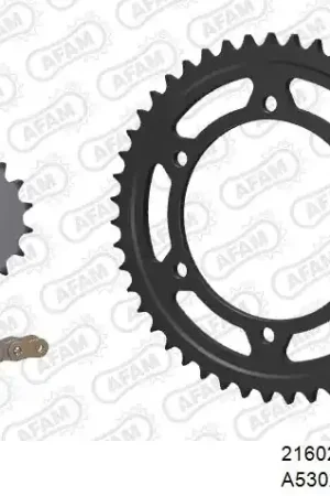 Alleen Vandaag AFAM - 530XSR2 110 MRS (RIVET) GOLD & SPROCKETS - Chain Kits - Steel