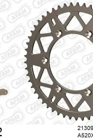 AFAM - 520XRR3 114 ARS (CLIP) GOLD & SPROCKETS - ALU Hete Deal