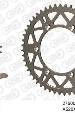 Snelle Levering AFAM - 520XRR3 114 ARS (CLIP) GOLD & SPROCKETS - ALU