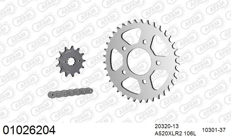 Dagaanbieding AFAM - 520XRR3 106 ARS (CLIP) GOLD & SPROCKETS - STEEL