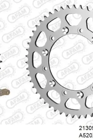 Favoriet AFAM - 520XRR3 114 ARS (CLIP) GOLD & SPROCKETS - STEEL