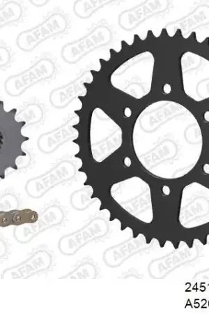 Gereduceerde Prijs AFAM - 520XSR 110 MRS (RIVET) GOLD & SPROCKETS - Chain Kits - STEEL