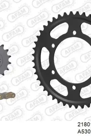 Lage Kosten AFAM - 530XSR2 116 MRS (RIVET) GOLD & SPROCKETS - STEEL