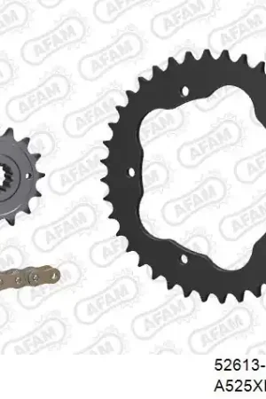 AFAM - 525XHR3 104 MRS (RIVET) GOLD & SPROCKETS - STEEL, BLACK WITHOUT CARRIER Op = Op