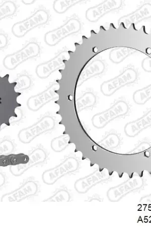 Geld-Terug-Garantie AFAM - 520XRR3 100 ARS - Chain Kits - Gold & Sprockets