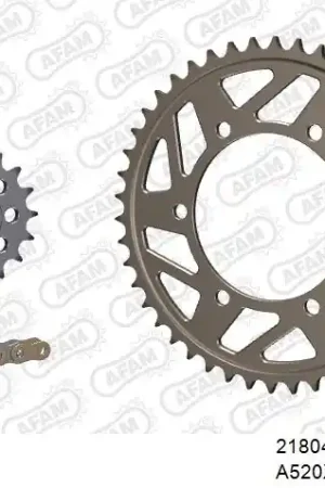 Shop Nu AFAM - 520XHR2 118 MRS - Chain Kits - Goud & Sprockets