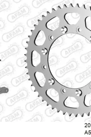 Betrouwbaar AFAM - 520XRR3 110 ARS (CLIP) GOLD & SPROCKETS - STEEL