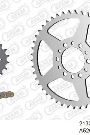 Garantie Inbegrepen AFAM - 520XLR2 102 ARS (CLIP) & SPROCKETS - Chain Kits - STEEL