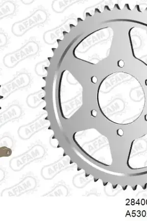 Voordeelprijs AFAM - 530XSR2 118 MRS - Chain Kits - Goud & Stalen Sprockets