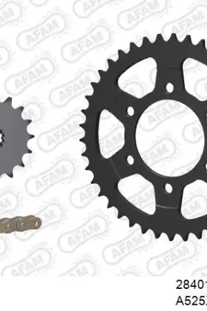 Laatste Kans AFAM - 525XHR3 110 MRS (RIVET) GOLD & SPROCKETS - STEEL