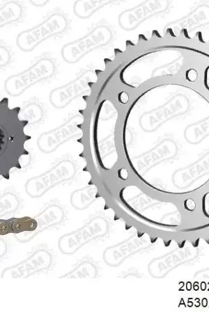 AFAM - 530XSR2 110 MRS (RIVET) GOLD & SPROCKETS - STEEL Premium