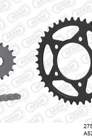 Gereduceerde Prijs AFAM - 520XMR3 110 MRS (RIVET) & SPROCKETS - Chain Kits - STEEL
