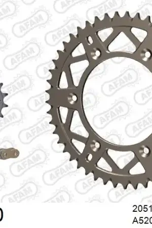 AFAM - 520XRR3 110 ARS (CLIP) GOLD & SPROCKETS - ALU Direct Verzonden