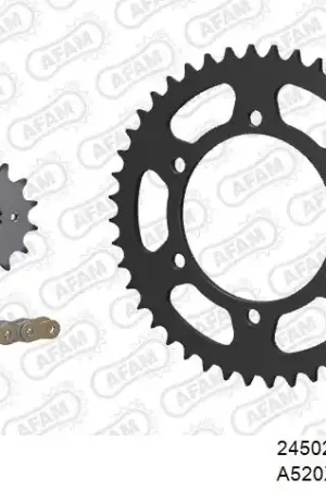 AFAM - 520XRR3 106 ARS (CLIP) GOLD & SPROCKETS - STEEL Geld-Terug-Garantie