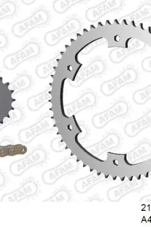 Koop Online AFAM - 428R1 134 AR (CLIP) GOLD & SPROCKETS - Chain Kits - STEEL