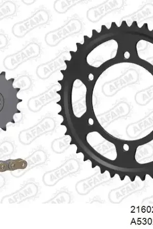 Gratis Verzending AFAM - 530XSR2 118 MRS (RIVET) GOLD & SPROCKETS - Chain Kits - STEEL