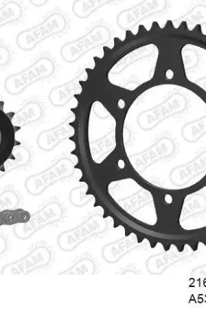 Meest Verkocht AFAM - 530XMR3 118 MRS (RIVET) & SPROCKETS - Chain Kits - STEEL