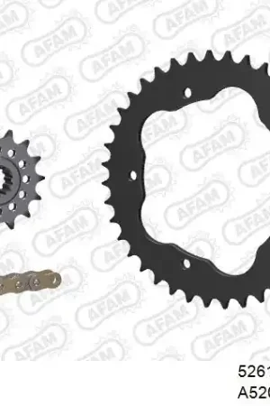 Nieuw Model AFAM - 520XHR2 98 MRS (RIVET) GOLD & SPROCKETS - STEEL WITHOUT CARRIER