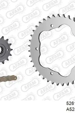 Beperkt Aanbod AFAM - 525XSR2 98 MRS - Chain Kits - Gold & Sprockets
