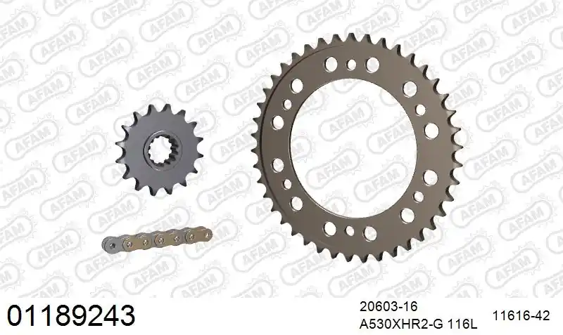 Beperkt Aanbod AFAM - 530XHR2 116 MRS - Chain Kits - RIVET GOLD & SPROCKETS