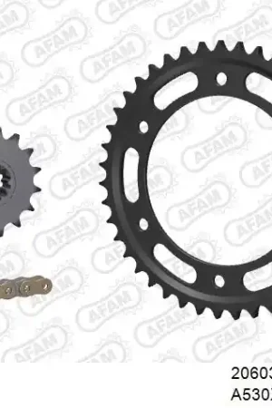 Gecertificeerd AFAM - 530XHR2 116 MRS - Chain Kits - Gold & Sprockets